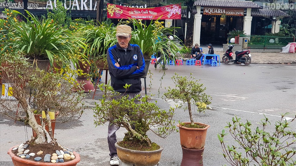 Anh Nguyễn Văn Minh (Phú Đô – Nam Tư Liêm – Hà Nội) cho biết: “Hôm nay hội chợ tôi đi qua, thấy cây cảnh nên rẽ vào ngắm. Loài cây này đẹp quá, mấy trăm tuổi vẫn nở hoa. Người trồng ra được những cây này thì thật sự giá trị”.