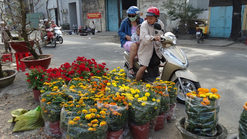Nhiều người đi đường thích thu dừng lại xem hoa.