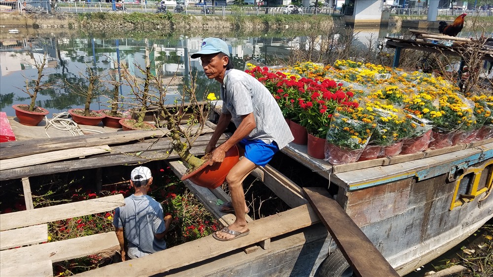 Mai gốc được tiểu thương chuyển từ ghe lên bờ.