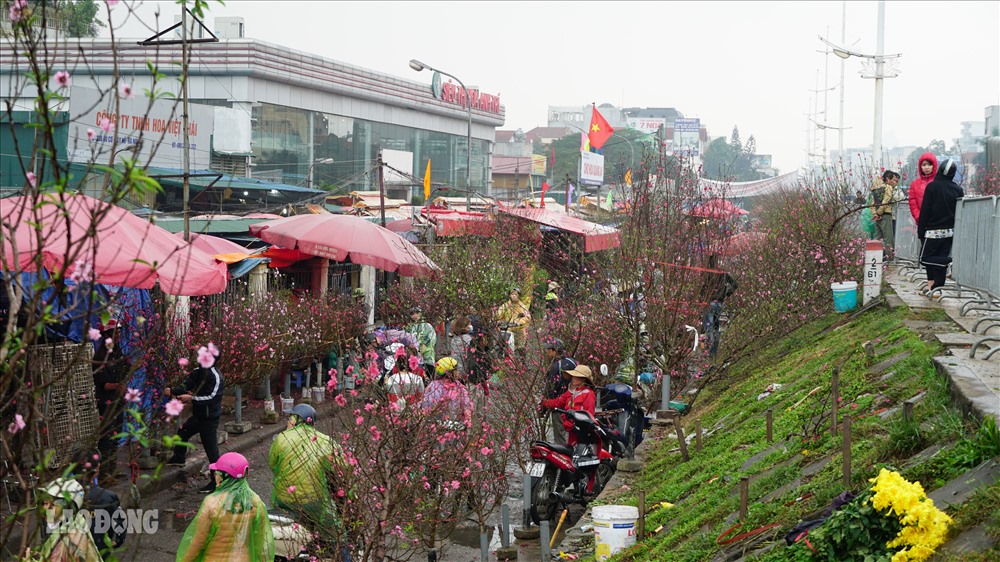 Chợ hoa Quảng Bá (Tây Hồ, Hà Nội) từ lâu đã được nhiều người biết đến là một trong những chợ hoa lâu đời nhất Hà Nội. Đây cũng là chợ đầu mối cung cấp hoa tươi cho toàn thành phố. 