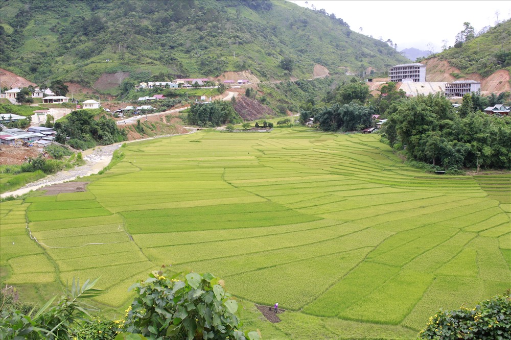 Giữa trung tâm huyện Tây Giang, ruộng bậc thang Chuôr được hiện ra với khung cảnh đẹp đến ngỡ ngàng. Ảnh: Đ.V