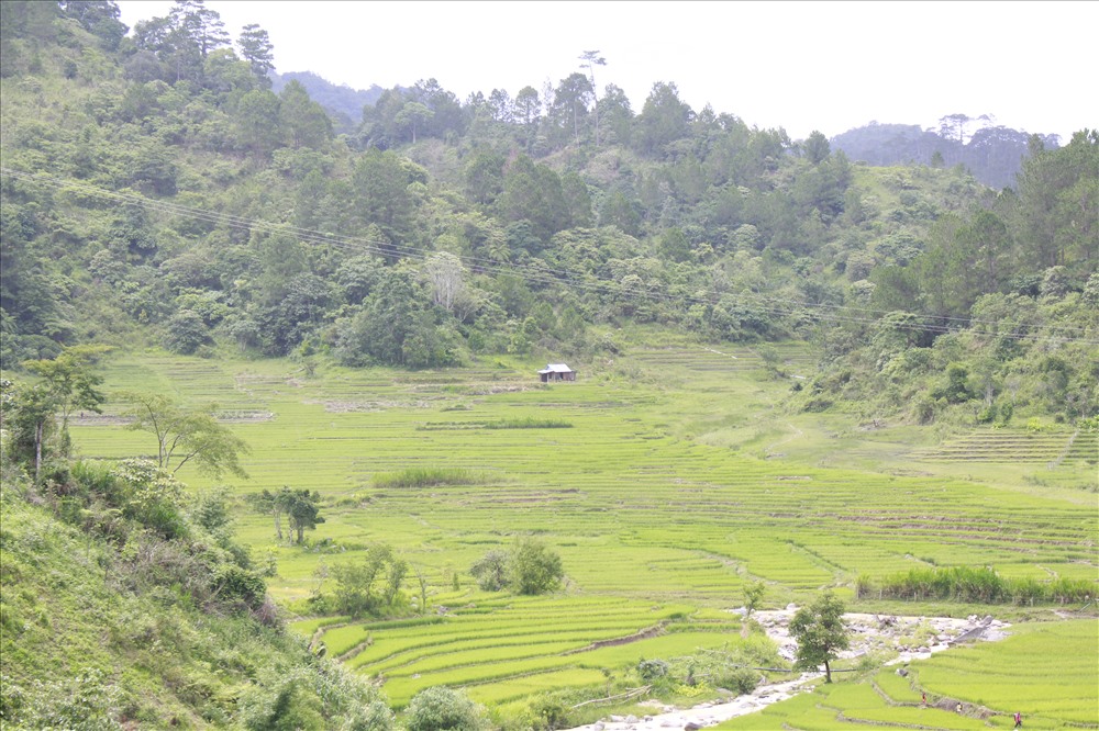 Nếu bạn là người thích khám phá, hãy làm một cuộc hành trình về với ruộng bậc thang Chuôr. Ảnh: Đ.V