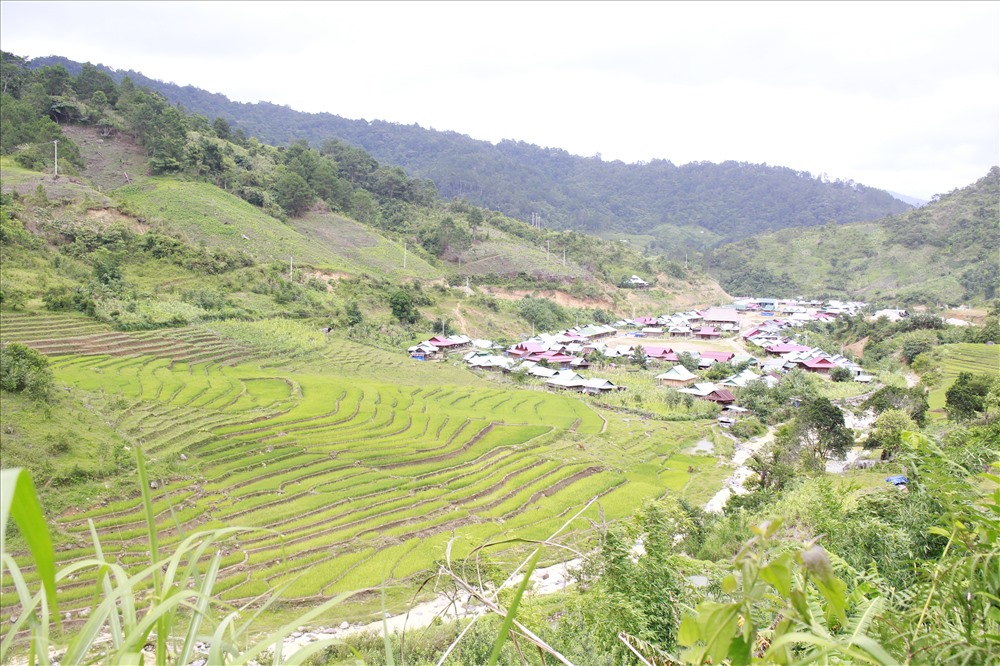 Nếu bạn là người thích khám phá, hãy làm một cuộc hành trình về với ruộng bậc thang Chuôr. Ảnh: Đ.V