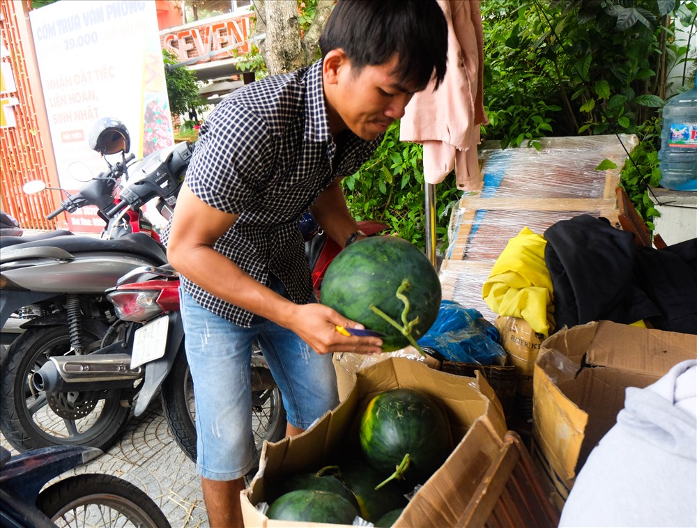 Mỗi quả dưa hấu có thể chưng trong 20 ngày kể từ ngày được khắc chữ. Anh Cương cho biết, anh chọn dưa hấu tròn, cuốn còn xanh, da đen nên khi khắc chữ và để lâu ngày sẽ khó bị hư.