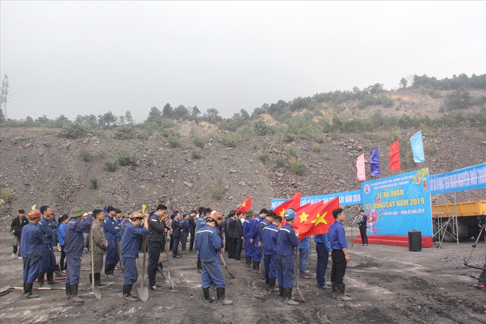 Đoàn viên thanh niên và Công đoàn Cty CP than Hà Lầm ra quân “Tết trồng cây” xuân 2019 và bắt tay vào sản xuất. Ảnh: T.N.D