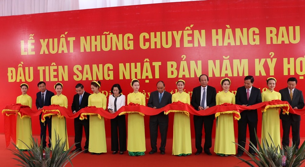 Thủ tướng Nguyễn Xuân Phúc và các đại biểu cắt băng lễ xuất những chuyến hàng rau, củ, quả đầu tiên sang Nhật Bản tại Cty Đồng Giao. Ảnh: NT