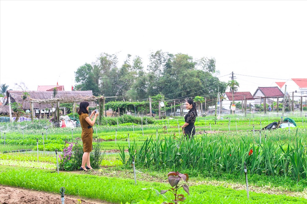 Người dân và du khách tham quan trải nghiệm làng rau Trà Quế.