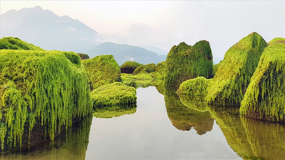 rạn Nam Ô