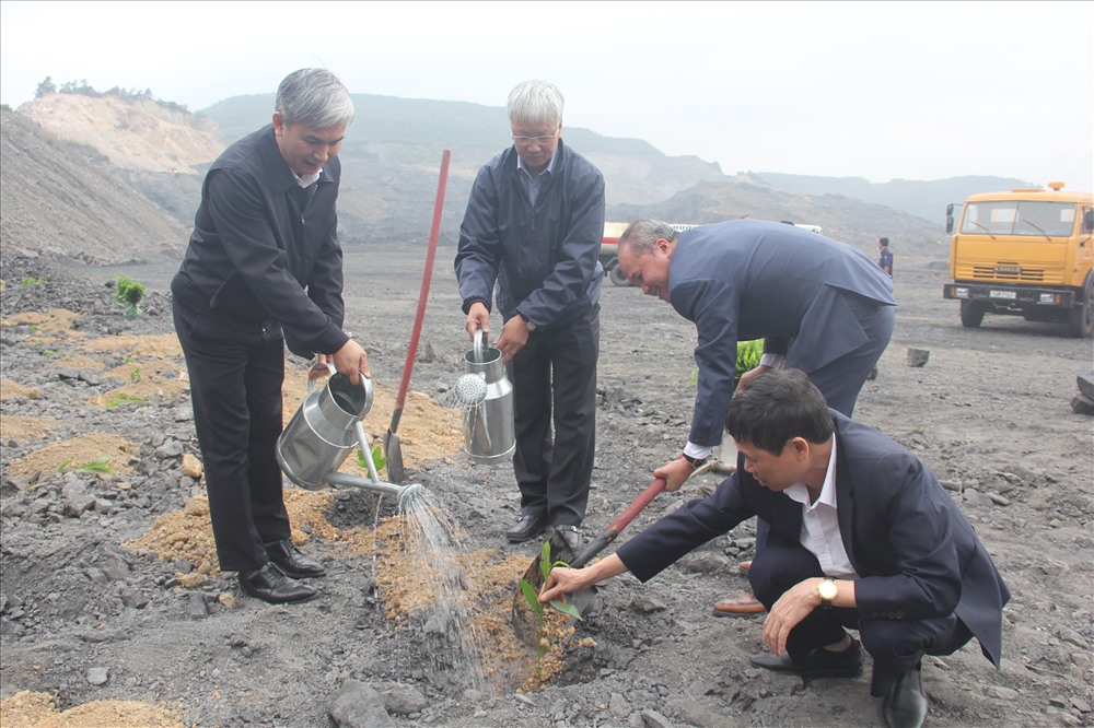 Lãnh đạo Tập đoàn TKV phát động và trồng cây tại Cty than Hà Lầm trong buổi lễ ra quân sản xuất đầu năm ở khu vực Hạ Long . Ảnh: T.N.D