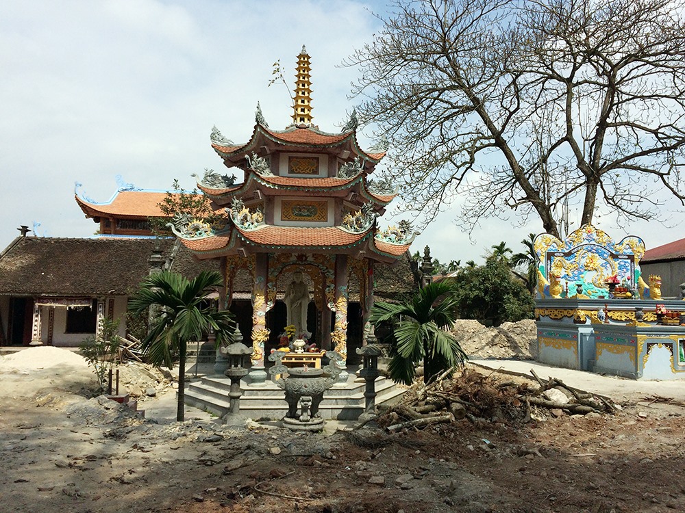 Quang cảnh ngổn ngang của ngôi chùa làng Phụ Chính, vị trí 2 cây sưa quý sau khi bị chặt hạ.