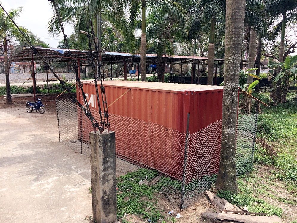 Sau khi chặt hạ 2 cây sưa thu được 31 khúc gỗ với đường kính lớn nhỏ khác nhau và được đưa toàn bộ vào chiếc container khóa chặt được rào kín bằng dây thép trước sân nhà văn hóa thôn.