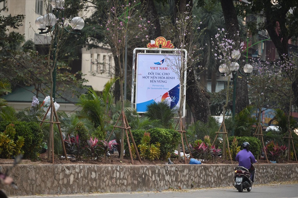 Dải phân cách giữa đường Giảng Võ khá rộng, được công nhân trồng kín hoa và cây xanh. Đây là trục đường nối liền tới đại sứ quán Mỹ tại Hà Nội.