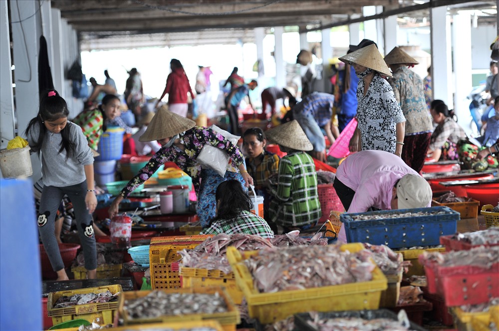 Không khí náo nhiệt tại một cơ sở làm khô cá ngân chỉ trên địa bàn phường An Hòa, TP. Rạch Giá