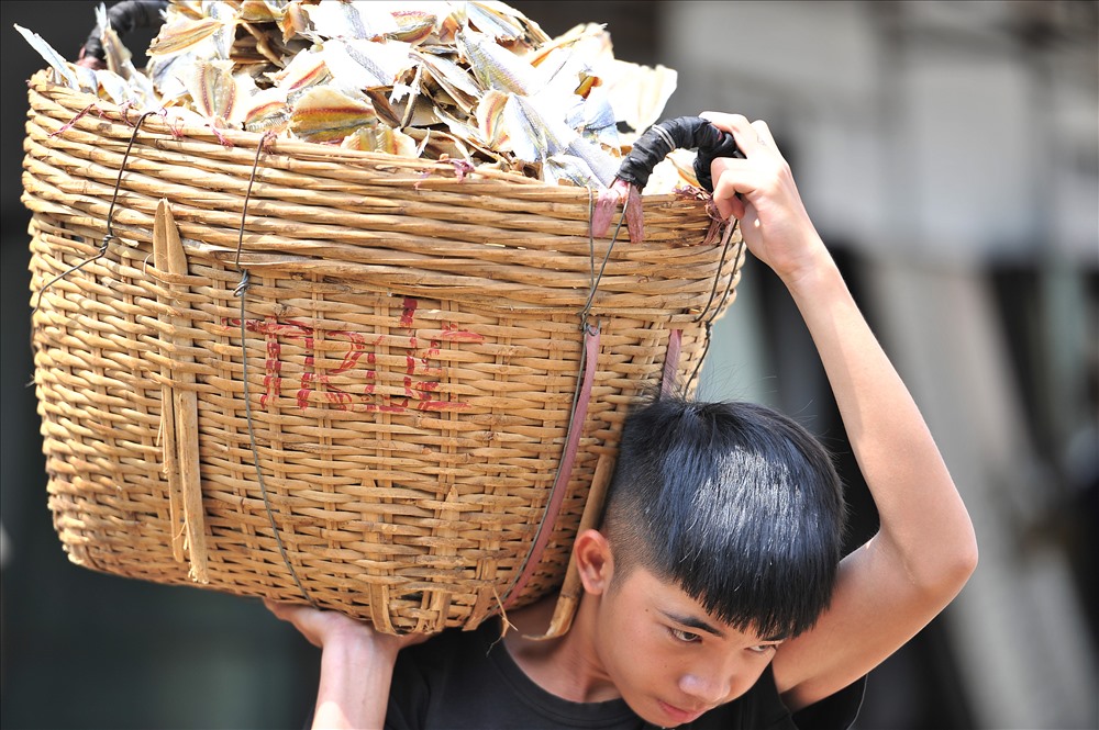 Thu gom cá ngân chỉ khô