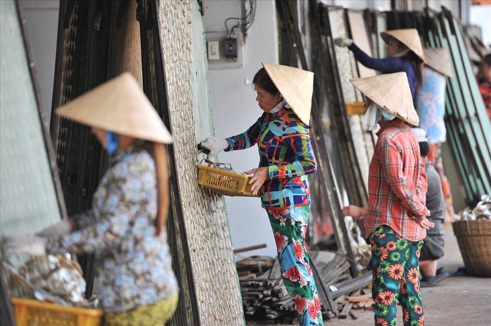 Thu gom cá ngân chỉ khô