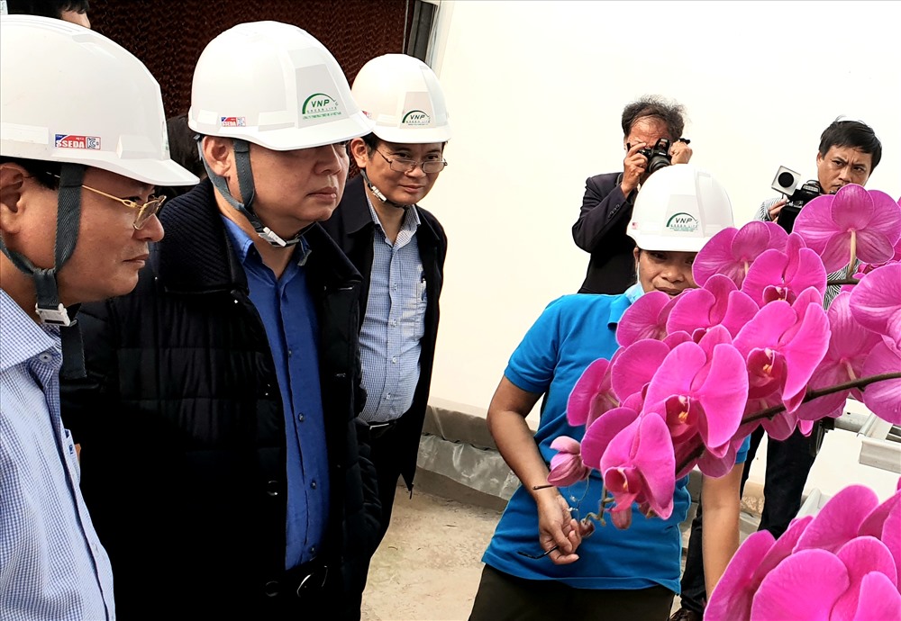 Bộ trưởng Trần Hồng Hà thăm mô hình sản xuất nông nghiệp công nghệ cao trong tổ hợp dự án. Ảnh: Lê Phi Long