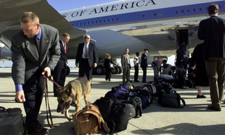 Chó nghiệp vụ luôn có mặt trong mỗi chuyến công du của Tổng thống Mỹ. Ảnh: AFP.  