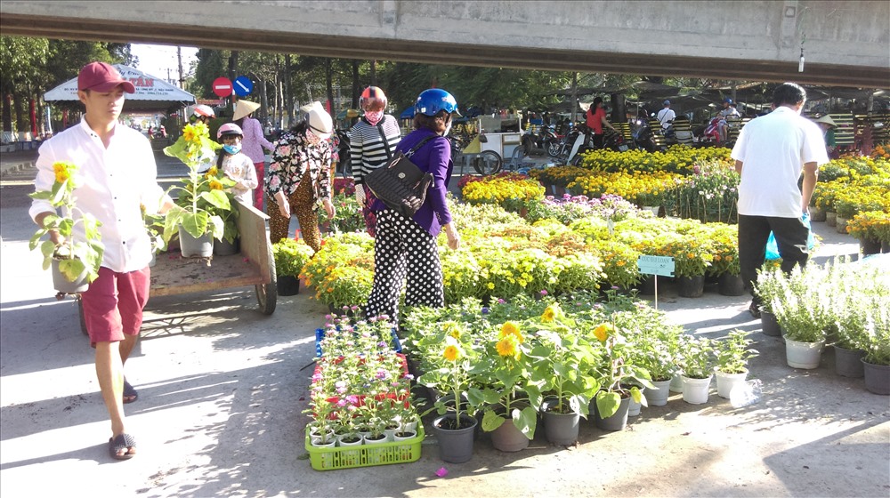 Chùm ảnh Chợ hoa Tết những ngày chống dịch