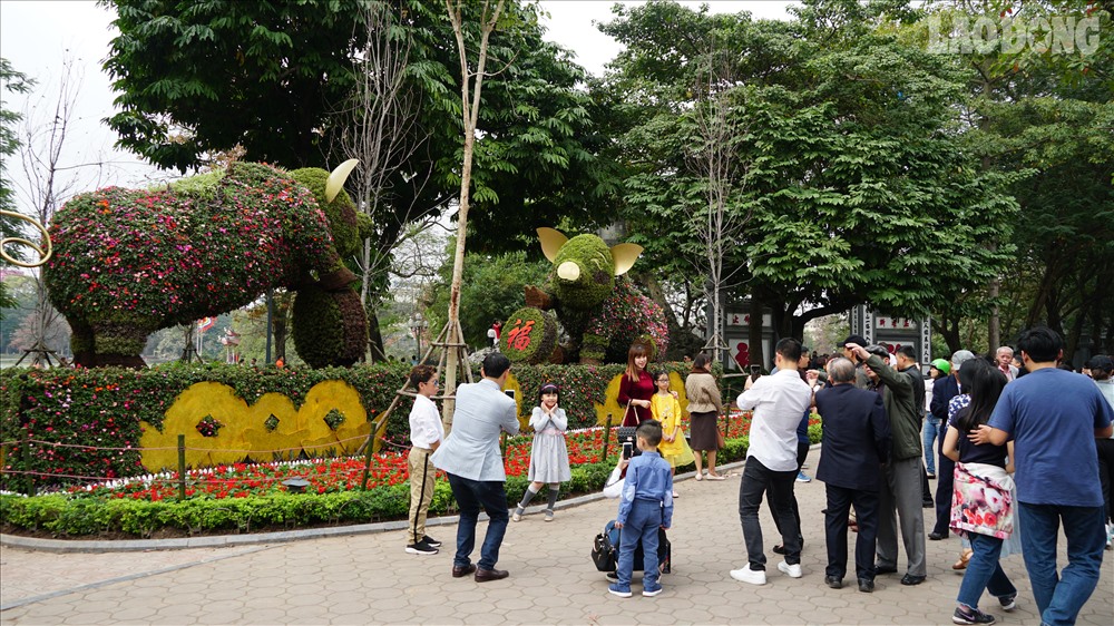 Mô hình heo làm từ cây và hoa gây ấn tượng với khách du lịch. Đây là một trong những tác phẩm đoạt giải trong cuộc thi trang trí đường phố Hà Nội năm 2019.