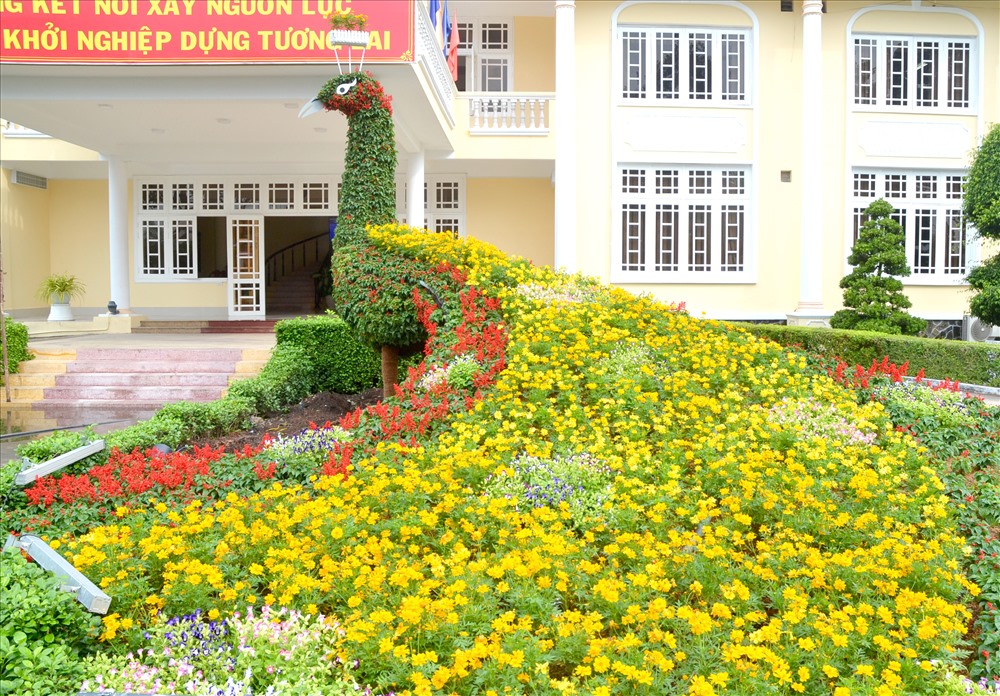 Không chỉ trồng hoa đẹp, mà tay nghề trồng hoa ở Sa Đéc đã đạt trình độ mỹ thuật. Ảnh: Lục Tùng