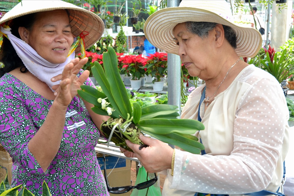 Ân cần hướng dẫn khách cách chăm sóc. Ảnh: Lục Tùng