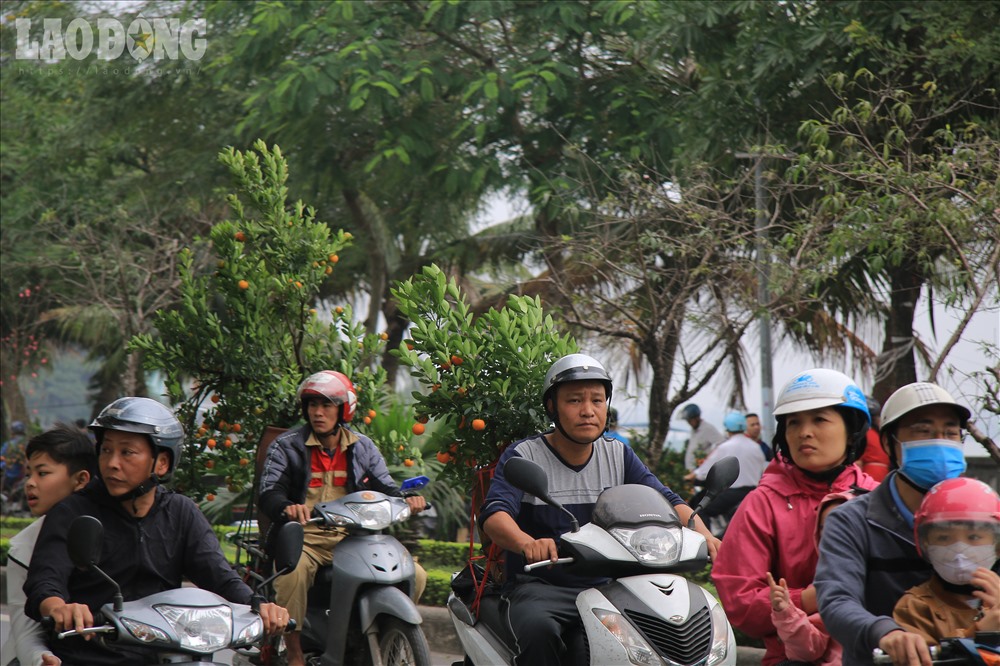 Nhiều người dân cũng cố gắng đợi đến 30 Tết để đi mua cây cảnh chưng Tết với giá rẻ.