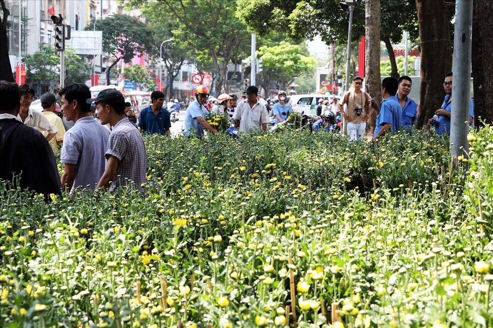 Đã đến giờ BQL công viên thu hồi mặt bằng nhưng anh Sang vẫn đang tồn rất nhiều hoa cúc nhưng không bán ra được bao nhiêu dù đã hạ giá xuống cón 140 nghìn đồng/cặp. Ảnh: Trường Sơn