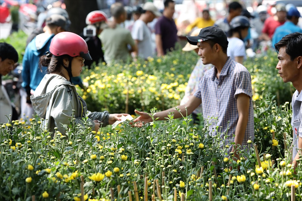 Dù cố gắng nán lại để bán nốt mấy trăm chậu cúc nhưng do người dân trả giá quá thấp nên anh Nguyễn Thanh Sang - chủ vườn hoa ở Sa Đéc - vẫn không thể bán, chấp nhận vứt lên xe rác, lỗ nặng. Ảnh: Trường Sơn