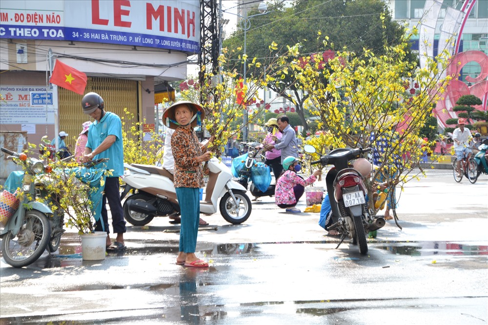 Chợ chuyên bán mai nhánh (cành) truyền thống tại đường Hai Bà Trưng (phường Mỹ Long) trong cảnh vắng tanh người mua. Ảnh: Lục Tùng