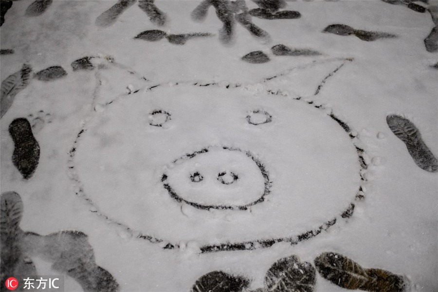 Một hình vẽ chú heo được vẽ trên nền tuyết.