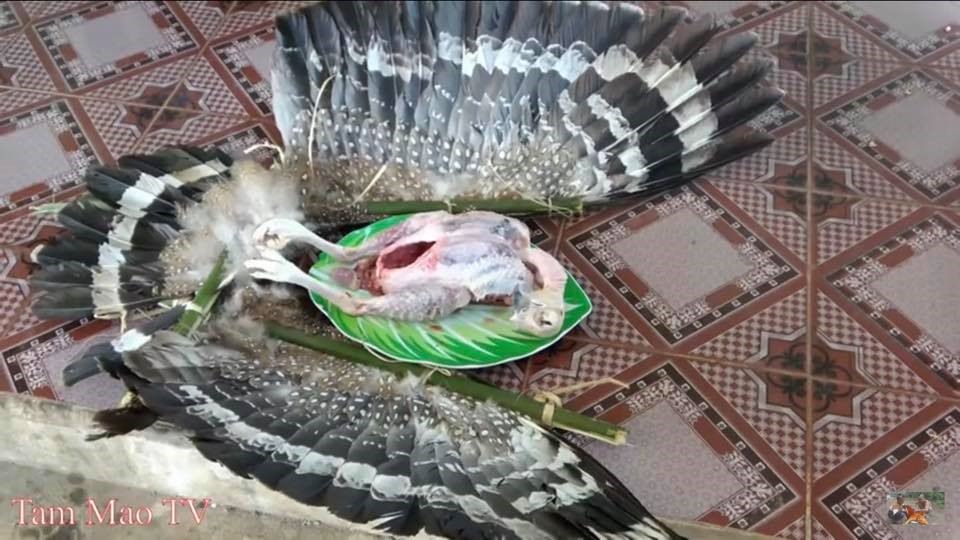 Việc xác minh loài của con “chim quý” gặp khó khăn do những thứ còn sót lại bị anh em Tam Mao đốt bỏ. Ảnh cắt từ clip.  
