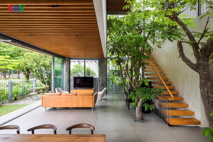 Không gian phòng khách ở tầng trệt rộng mở bởi những vách kính lớn, được thiết kế như trong công viên với cả cây xanh trong nhà và ngoài vườn. 