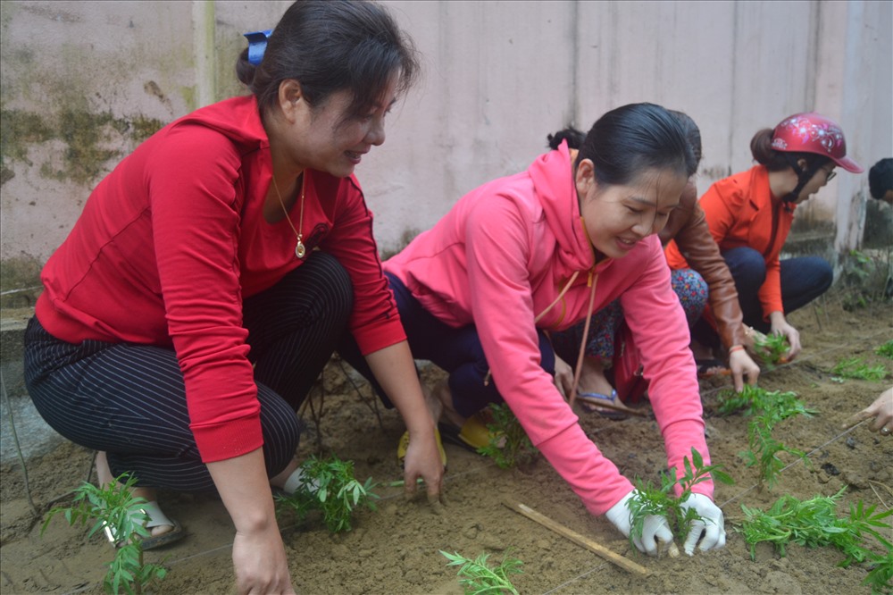 Để có được những tuyến đường hoa này, người dân đã trồng và chăm sóc rất cẩn thận