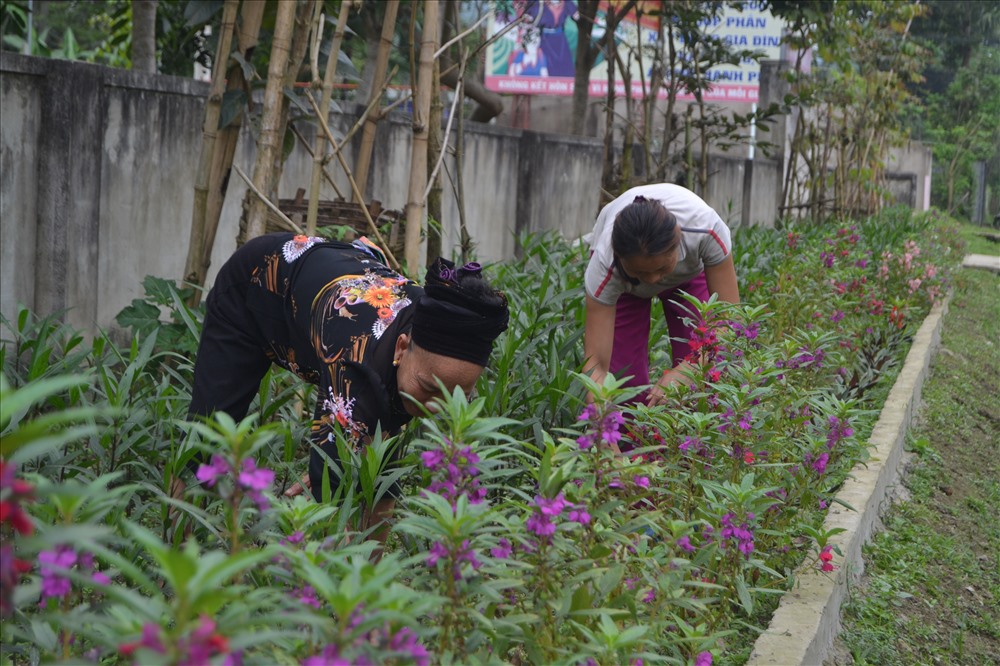 Để có được những tuyến đường hoa này, người dân đã trồng và chăm sóc rất cẩn thận