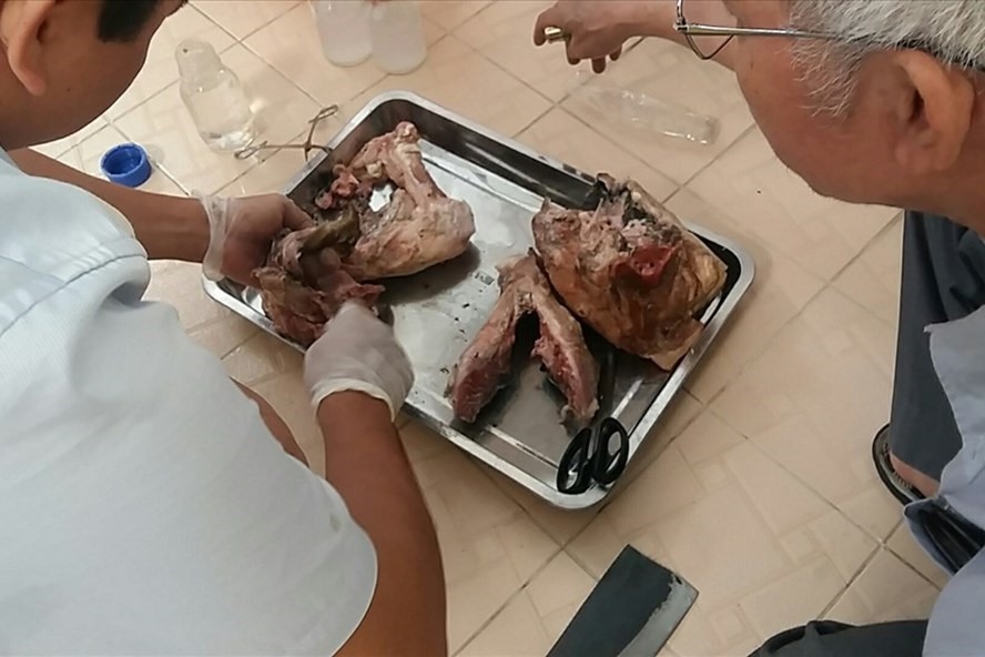 Phát hiện các mẫu thịt lợn bị nhiễm ấu trùng sán, ảnh: minh họa