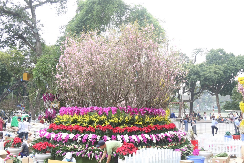 Lễ hội hoa anh đào Nhật Bản 2019 diễn ra từ ngày 29 đến 31.3.