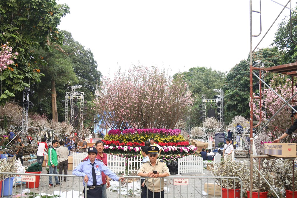 Gần 30.000 cành đào và hàng nghìn cành hoa các loại đã được chuyển về khu vực Tượng đài Lý Thái Tổ.