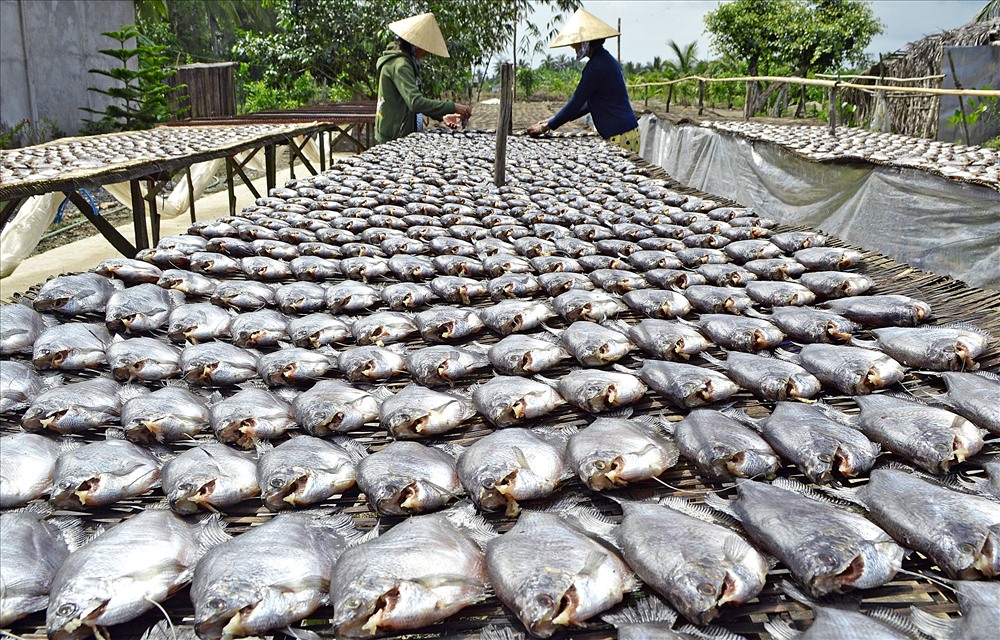 Khô cá bổi tại huyện Trần Văn Thời