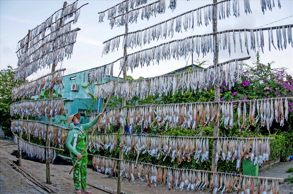 Cá khô khoai nơi vùng biển Cái Đôi Vàm, huyện Phú Tân