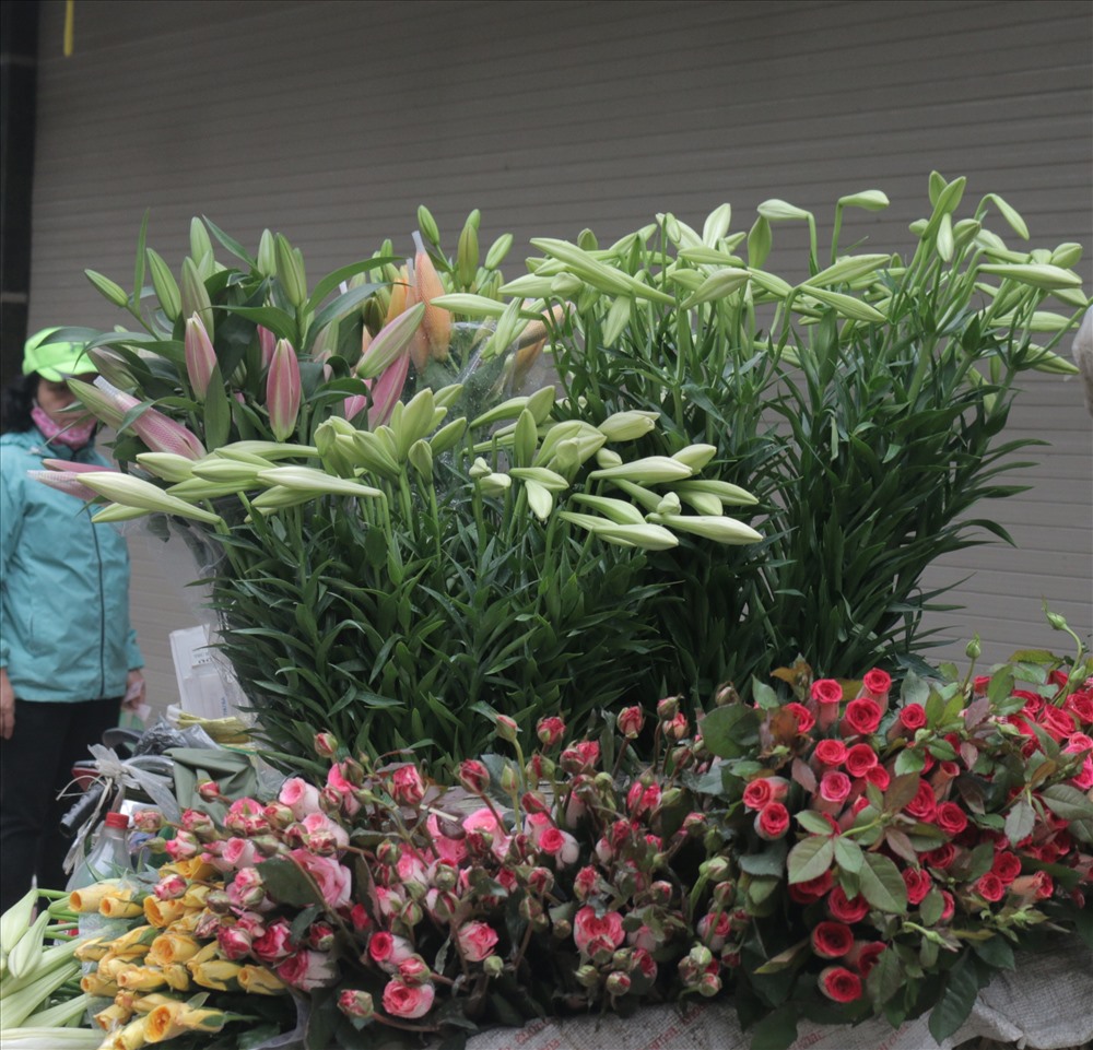 Hoa loa kèn xuất hiện nhiều ở các hàng hoa và rong ruổi khắp phố. Mới đầu mùa nên giá hoa còn khá đắt dao động từ 40.000 – 60.000/10 bông. 