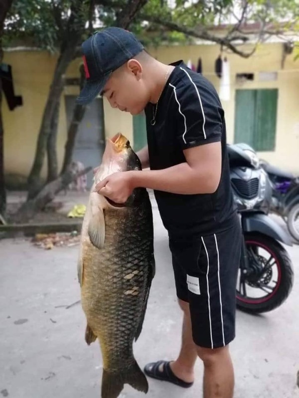 Có con cá trọng lượng nhỏ hơn cũng được người thân của chị đánh bắt được trên sông ở Nghệ An, dao động khoảng 10-15kg.  