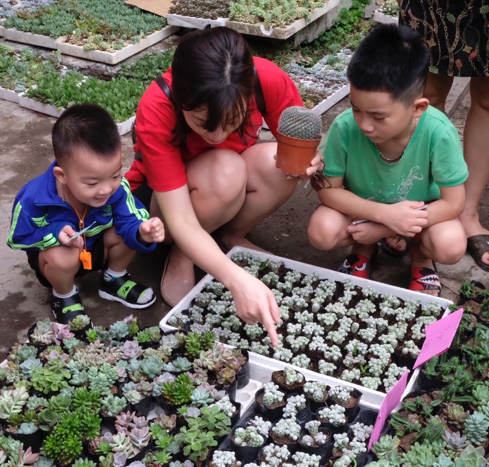 Sự kiện thu hút được rất nhiều các bạn trẻ tham gia đổi giấy lấy cây.
