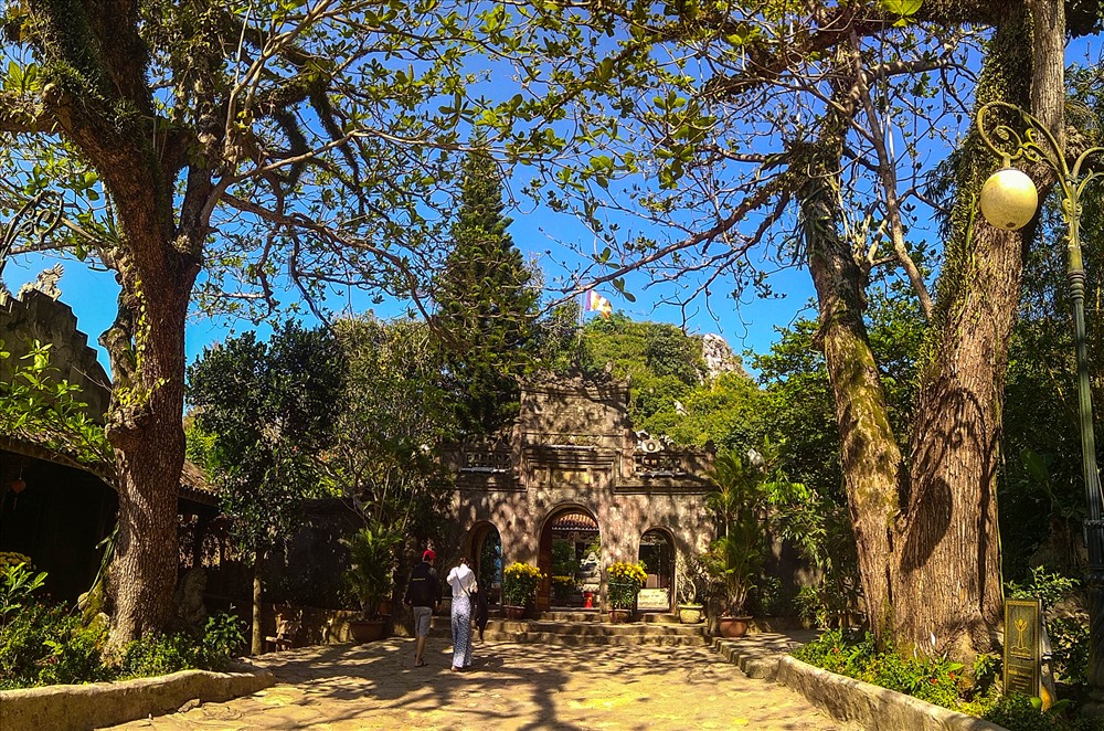 2 cây bàng ở phía trước chùa Tam Thai khu danh thắng Ngũ Hành Sơn.