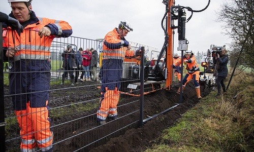 Đan Mạch xây hàng rào “chống lợn hoang”. Ảnh: Fox News.