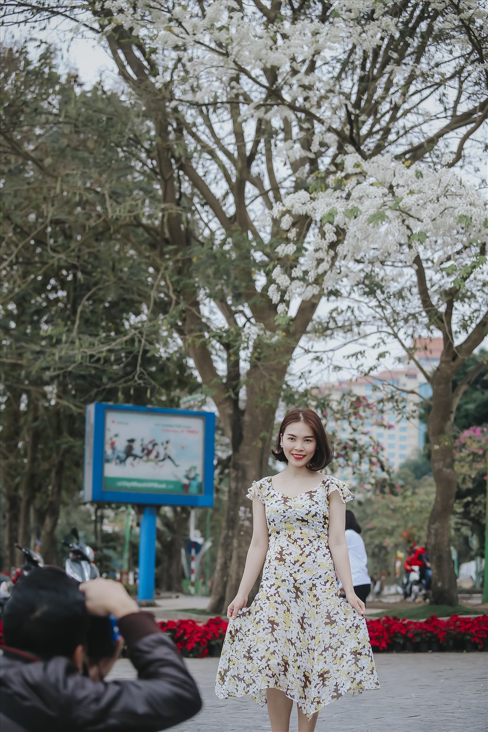 Sắc trắng hoa sưa Hà Nội cũng trở thành cảm hứng cho các nhiếp ảnh gia cả nghiệp dư lẫn chuyên nghiệp 