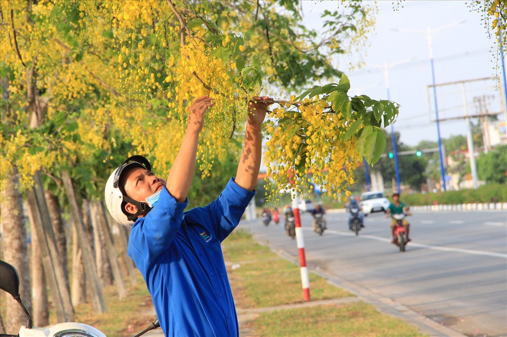 Anh Nguyễn Văn Hùng (40 tuổi, ngụ Bình Dương) làm việc trong khu công nghiệp Kim Huy  cho biết đã 4 năm hoa bọ cạp vàng bung nở trên đường này. Mỗi ngày đi làm về anh Hùng dừng chân nghỉ ngơi.