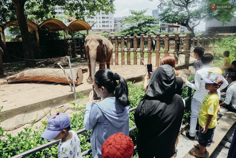 Đến gần 15h ngày 14/4 (Mùng 10/3 ÂL) hàng ngàn người dân vẫn đổ về khu vui chơi Thảo Cầm Viên (quận 1, TP. HCM) để nghỉ lễ Giỗ tổ Hùng Vương. Dự báo thời tiết chỉ 37 độ nhưng cảm giác lên gần 40 khi ở ngoài trời nên Thảo Cầm Viên là nơi lý tưởng để người dân đến đây tìm bóng mát nghỉ ngơi. Ghi nhận, có hàng ngàn người cùng đổ về từ 9h - 15h nên khu vui chơi này quá tải, bãi giữ xe kín chỗ, trẻ em cùng người lớn nằm la liệt dưới bóng cây. Nhiều trẻ em mặt bơ phờ, nhễ nhại mồ hôi khi được bố mẹ cõng lên vai đi vào Thảo Cầm Viên.  Thời tiết nắng nóng cũng khiến nhiều người khi đi chơi phải trùm kín từ đầu đến chân rồi đi dạo trong công viên. 