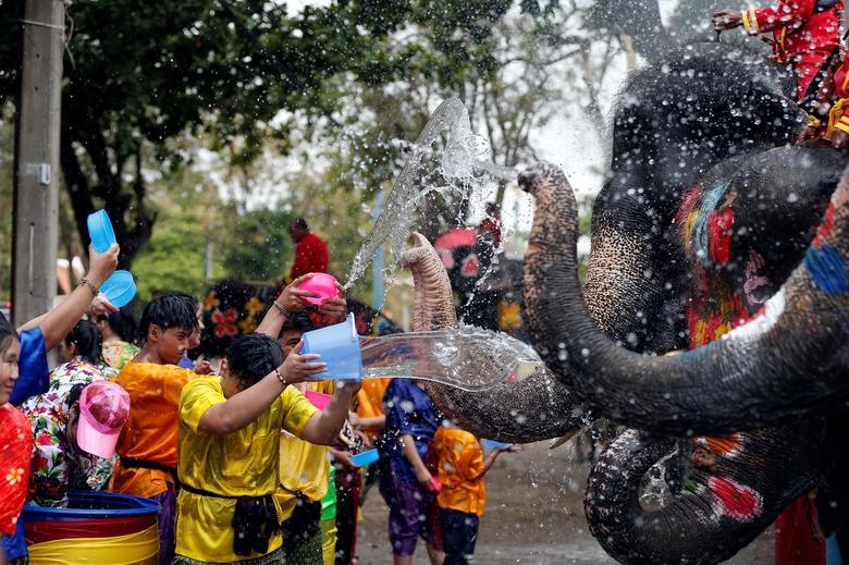 Voi và người dân chơi đùa với nước như một phần của lễ kỷ niệm lễ hội té nước Songkran ở Ayutthaya.