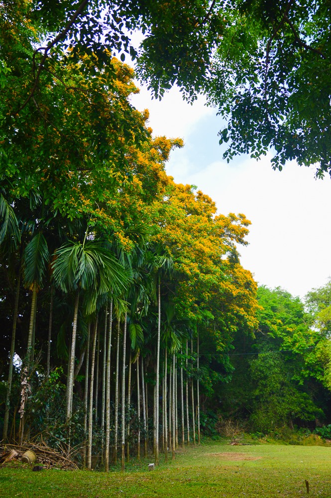 Khung cảnh thật lãng mạn.