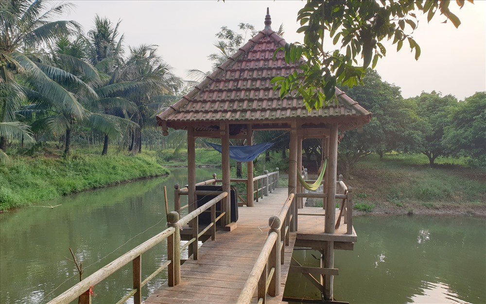 Trong khuôn viên trang trại, ông Thái cho dựng 2 ngôi nhà sàn và các chòi, cầu gỗ tạo cảnh quan tuyệt đẹp. Ảnh: Hưng Thơ.